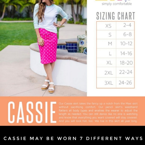 Lularoe Skirt Size XL Cassie Stripe NWT - Picture 5 of 11